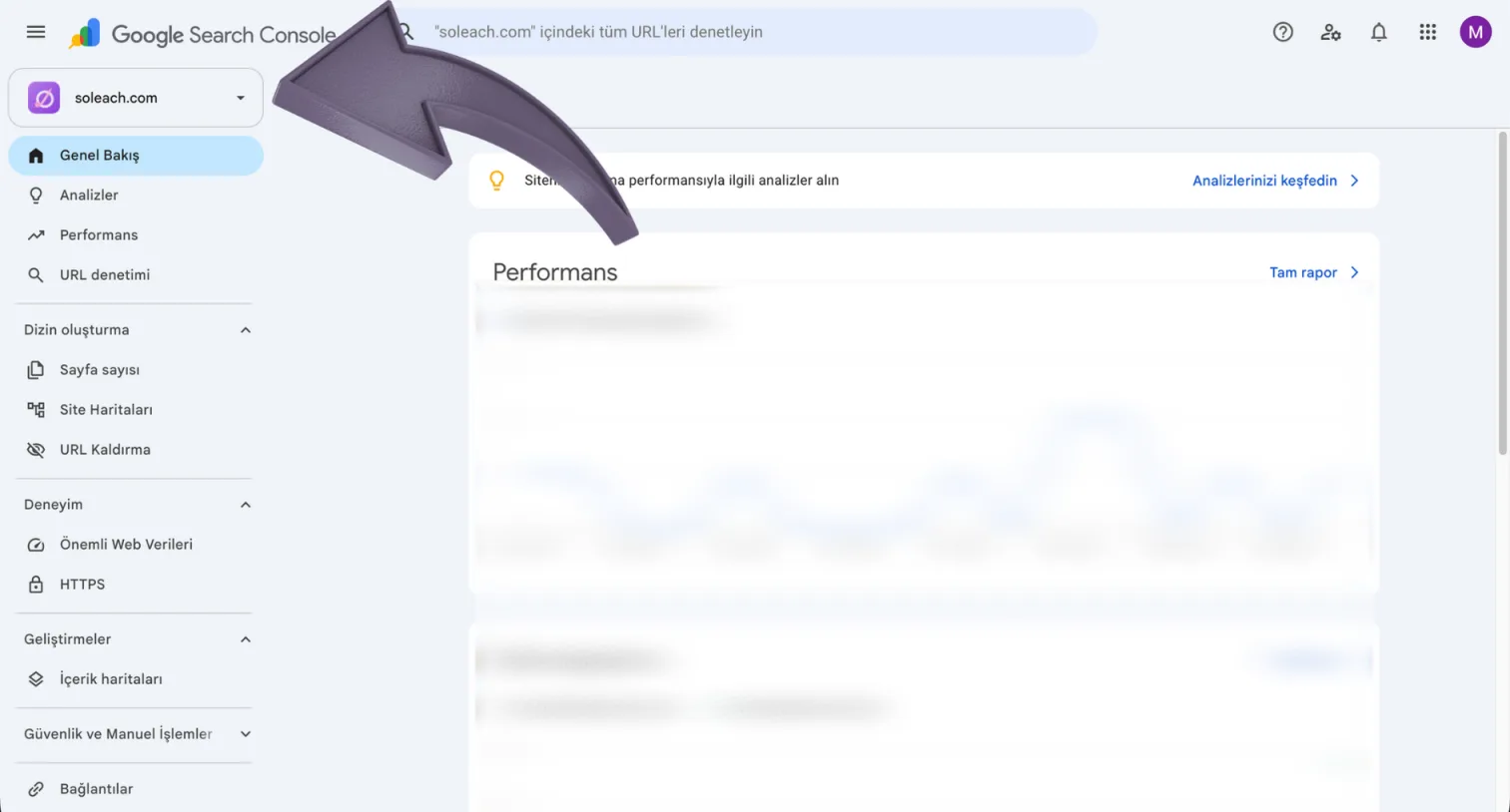 Google Search Console arayüzü; sol paneldeki en üstte yer alan soleach.com mülk seçici kutusu bir okla işaretlenmiş.