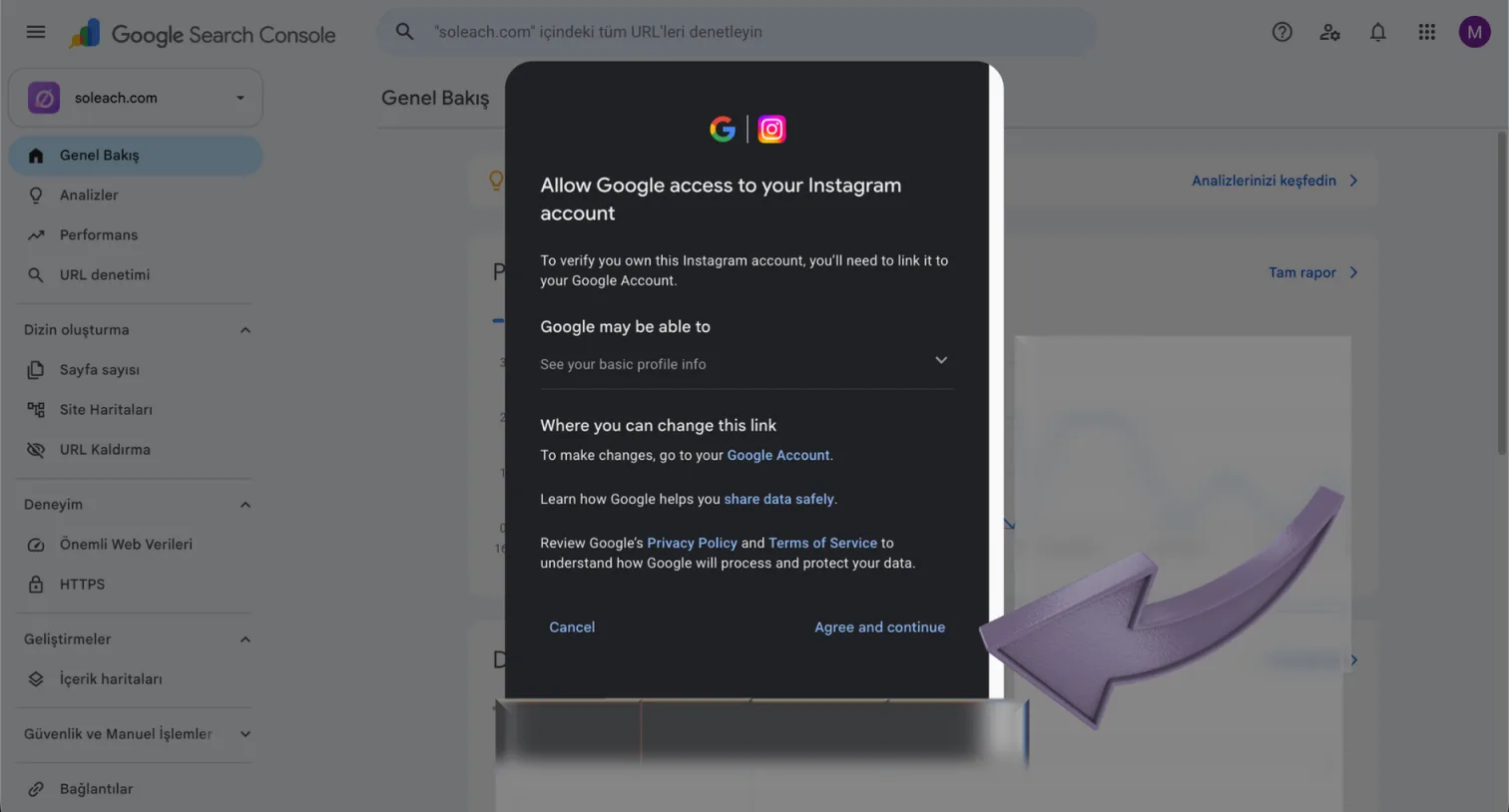 Google'ın izin penceresi: "Allow Google access to your Instagram account" başlığı, "See your basic profile info" kapsamı ve altta Cancel ile Agree and continue butonları. Agree and continue okla işaretlenmiş.